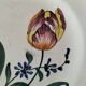 Vintage Longchamp plates – "Tulips" model – 1950s-60s