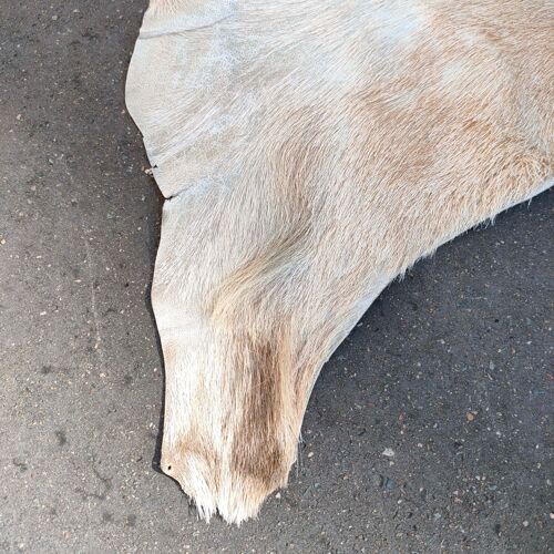Peau de chèvre 12x90cm