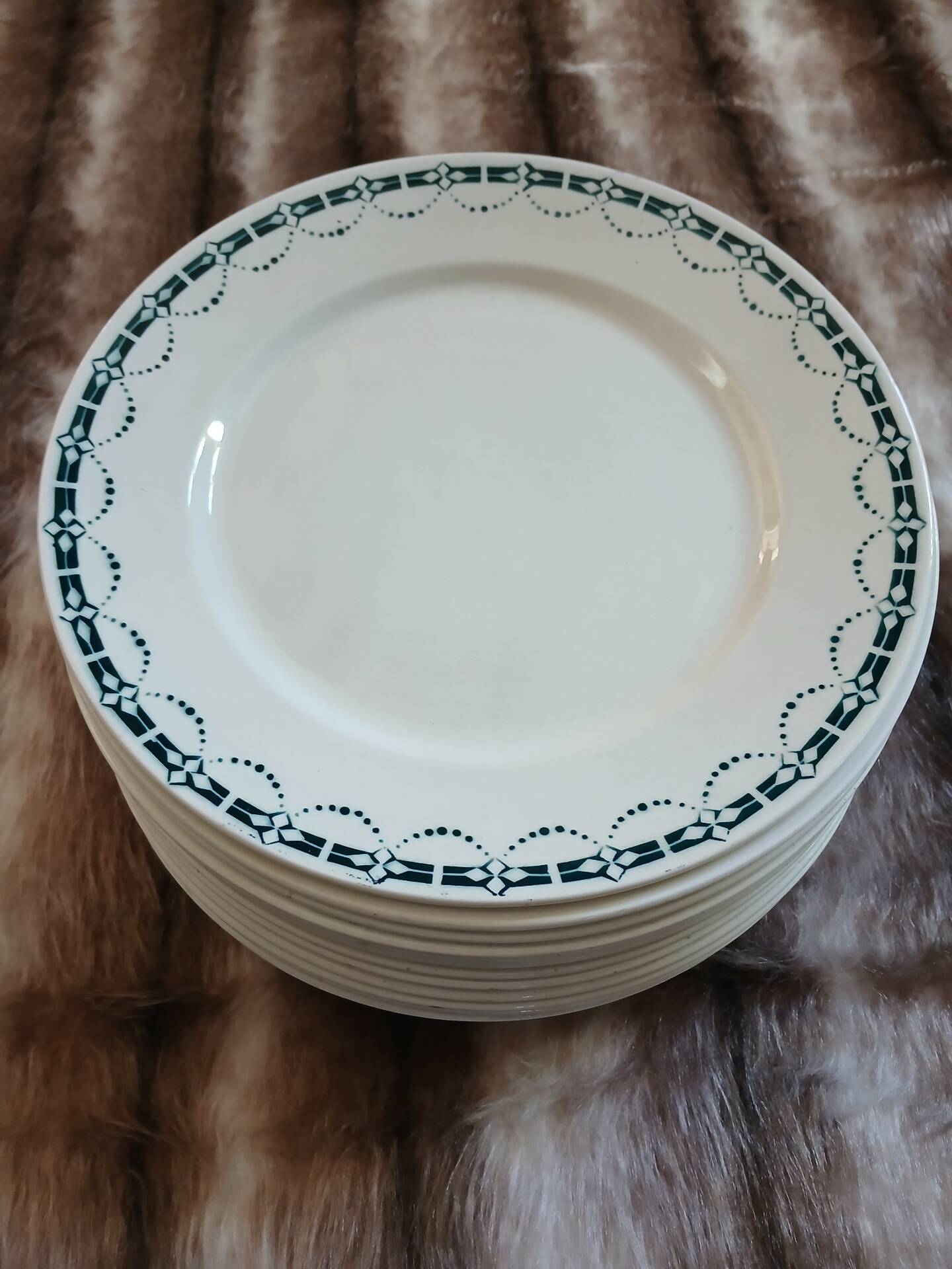 12 flat plates in ironstone from Badonviller