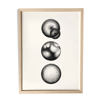 Illustration New Worlds #4