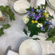 Duo of bowls Porcelaine france Limoges