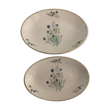 Pair of ravines Digoin Sarreguemines model Myosotis