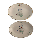 Pair of ravines Digoin Sarreguemines model Myosotis