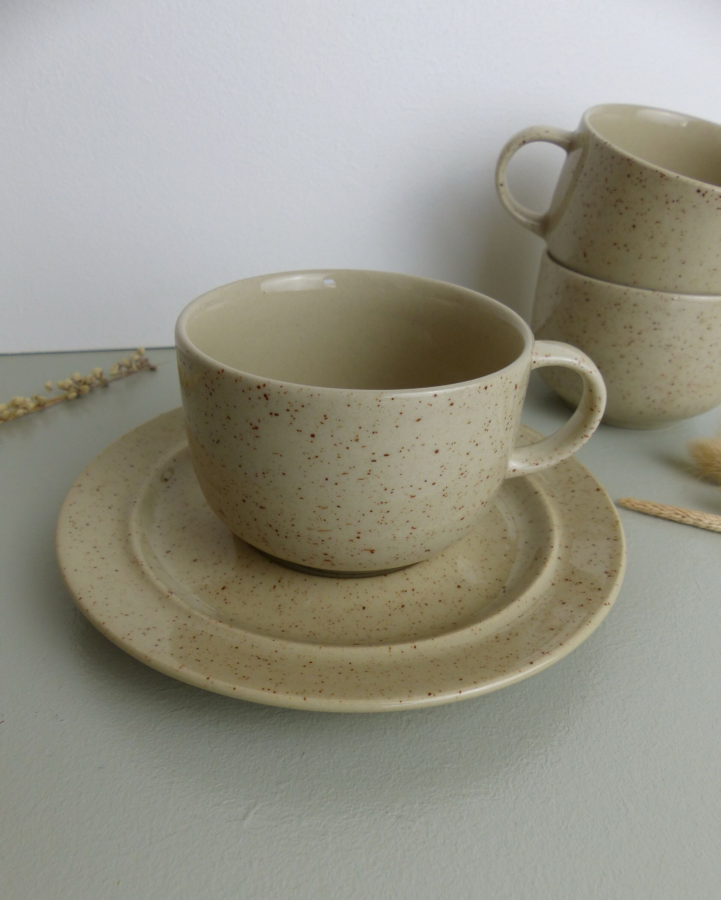 6 cups speckled sandstone