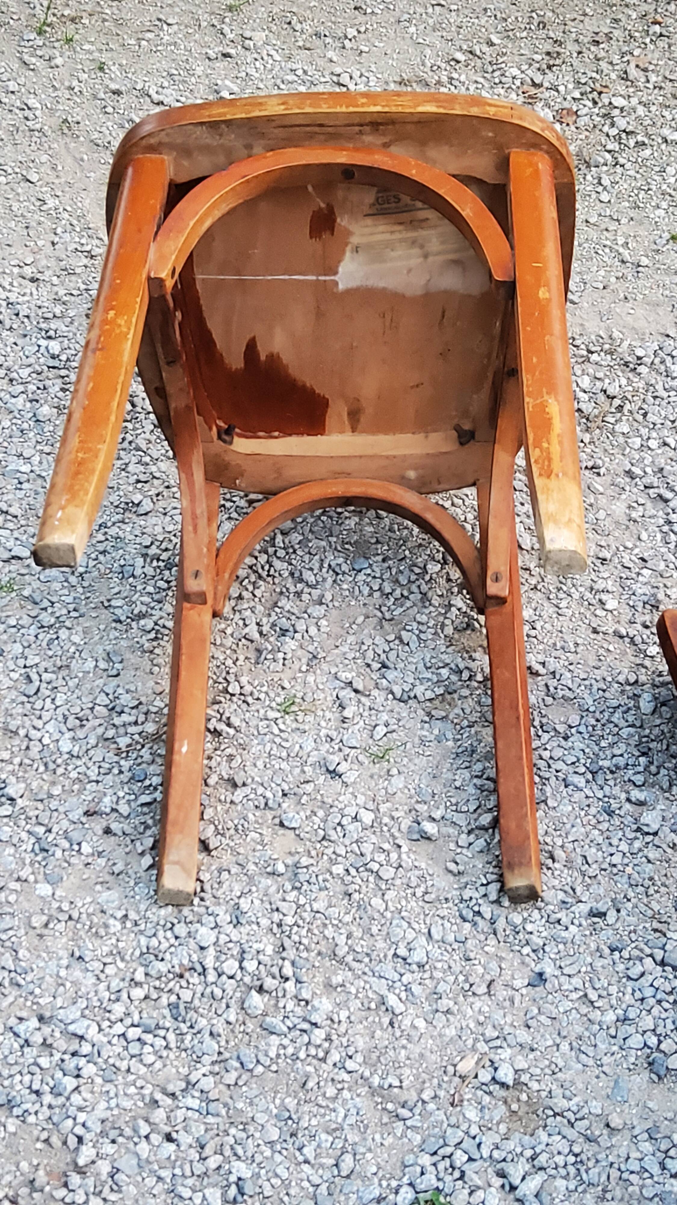 Set of 5 Stella Thonet bistro chairs from the 1950s