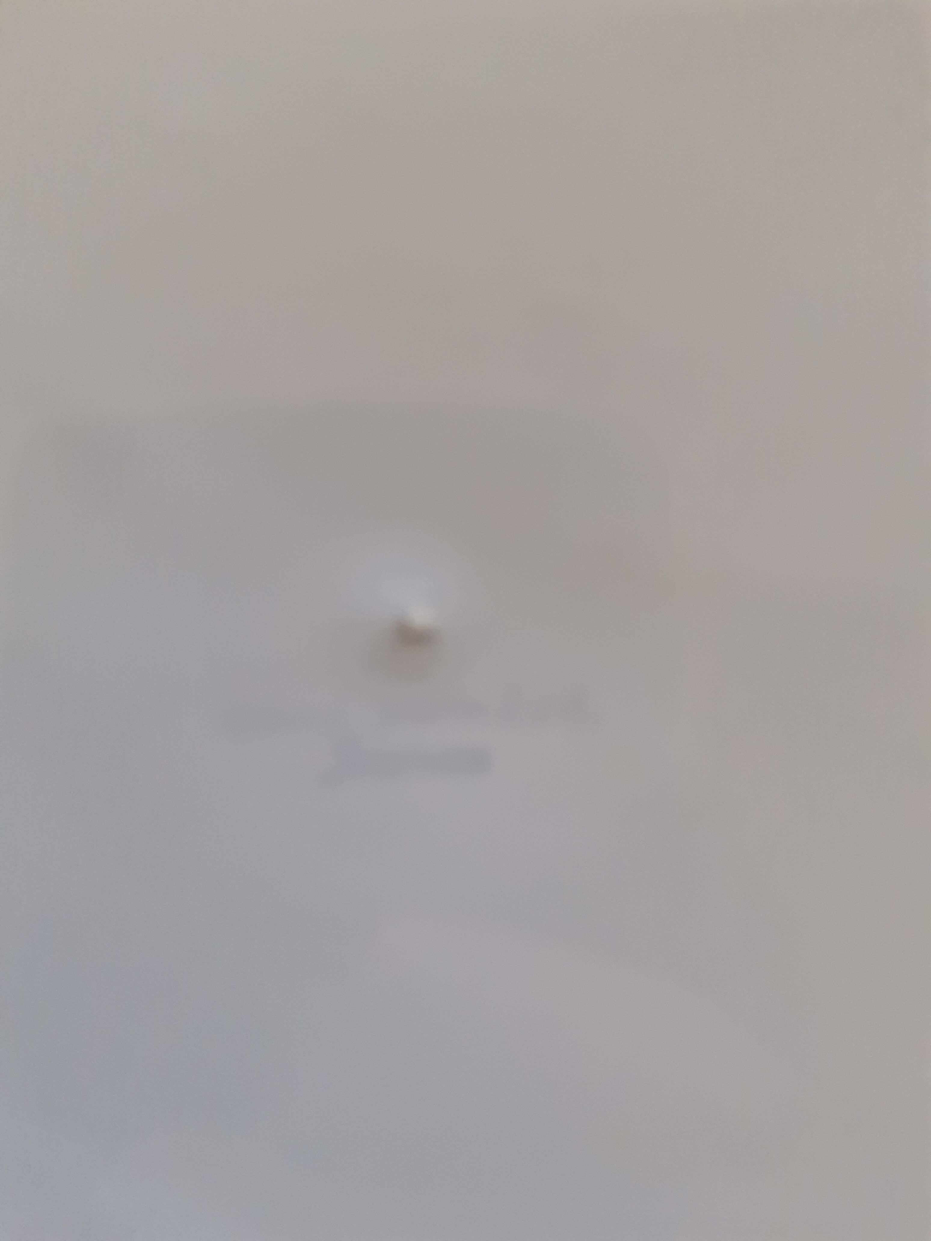 Decorative plate in moustiers earthenware