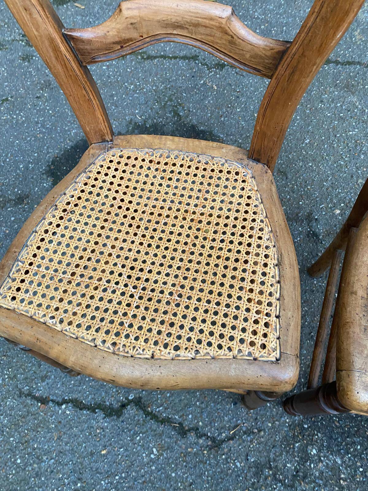 Two Louis Philippe cane chairs in solid carved wood from the 20th century
