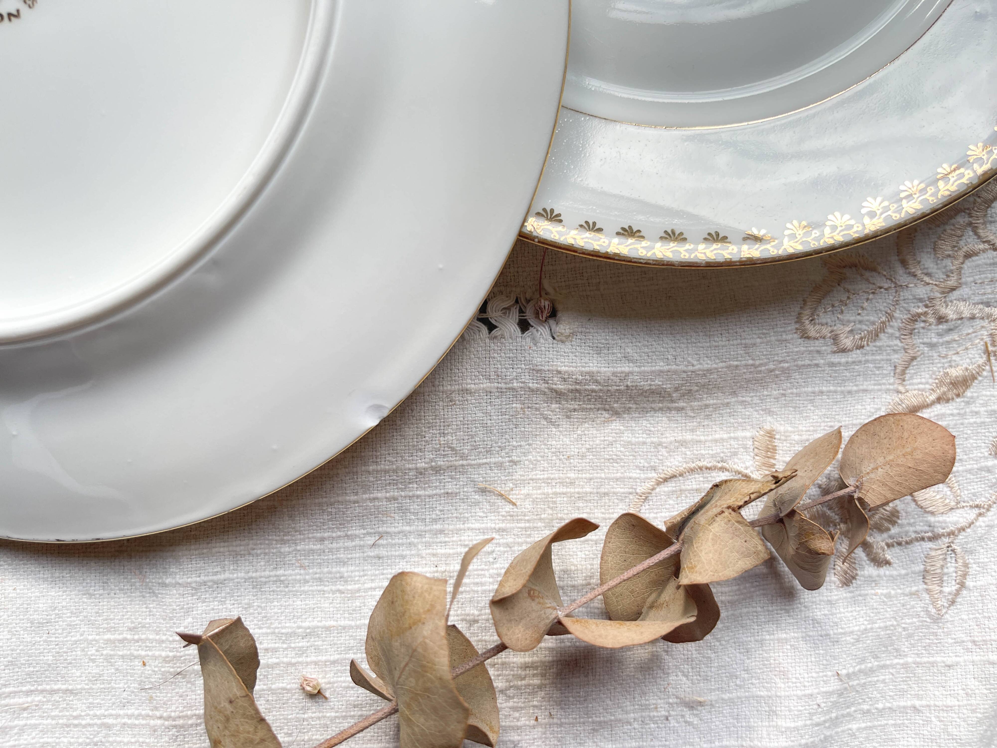 12 Vintage Terre de Fer White Plates + Small Gold White Porcelain Plates LIMOGES