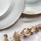 12 Vintage Terre de Fer White Plates + Small Gold White Porcelain Plates LIMOGES