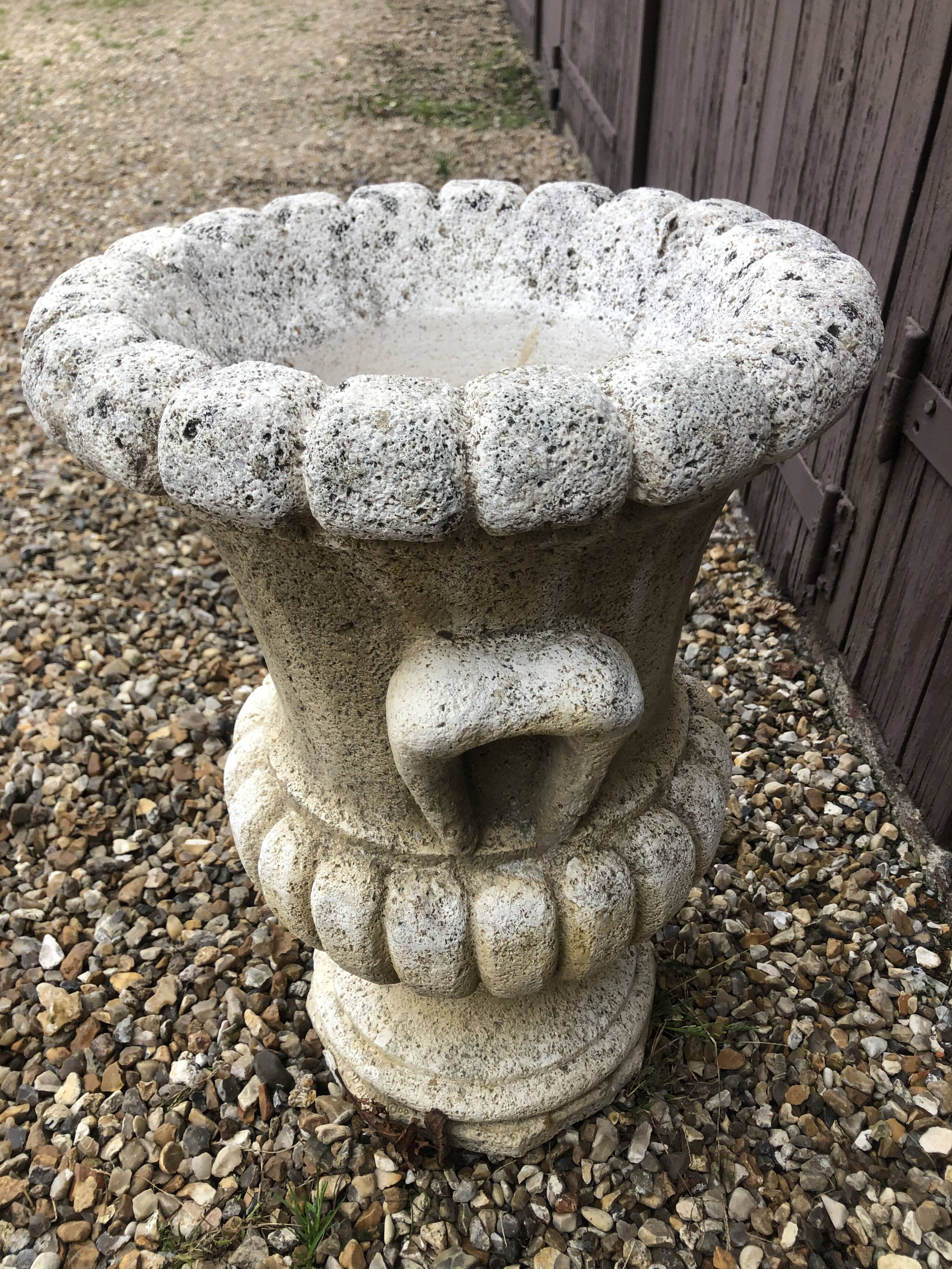 Medici Basin