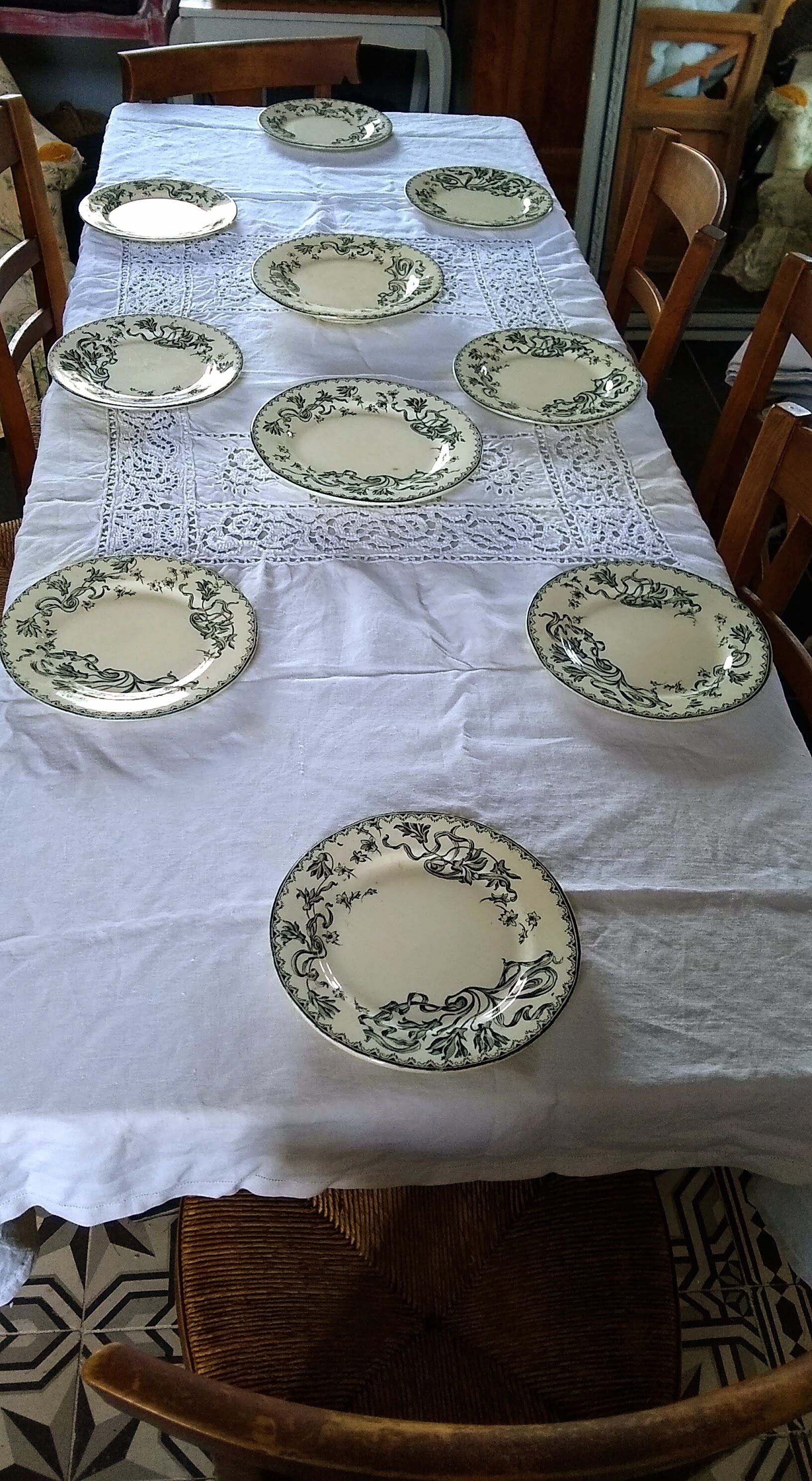 9 flat earthenware plates motif Herbarium and Salins