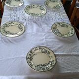 9 flat earthenware plates motif Herbarium and Salins