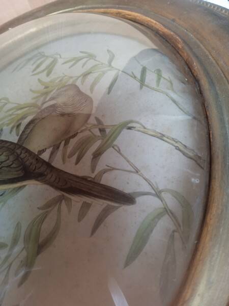 Antique oval curved glass frame 46/36c