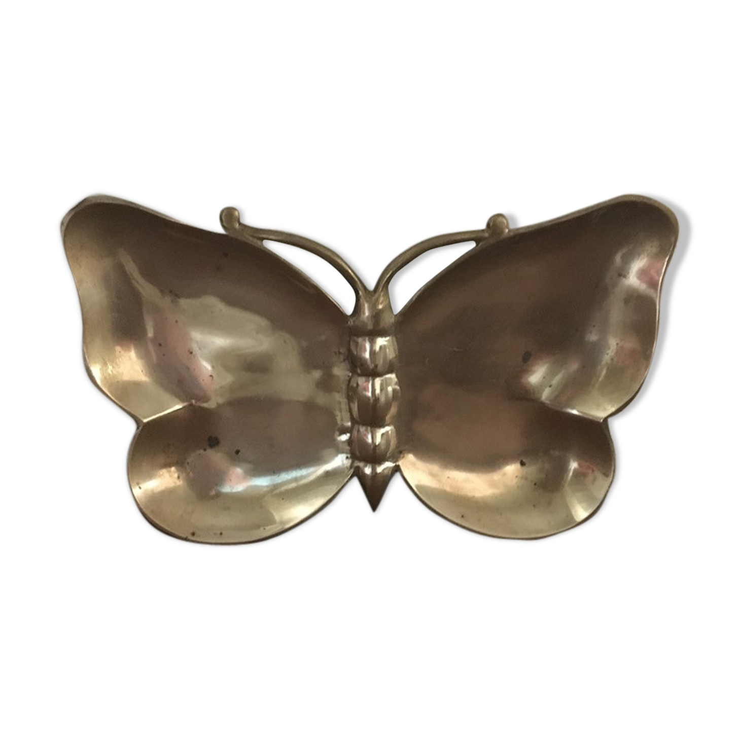 Vacuum Pocket brass butterfly
