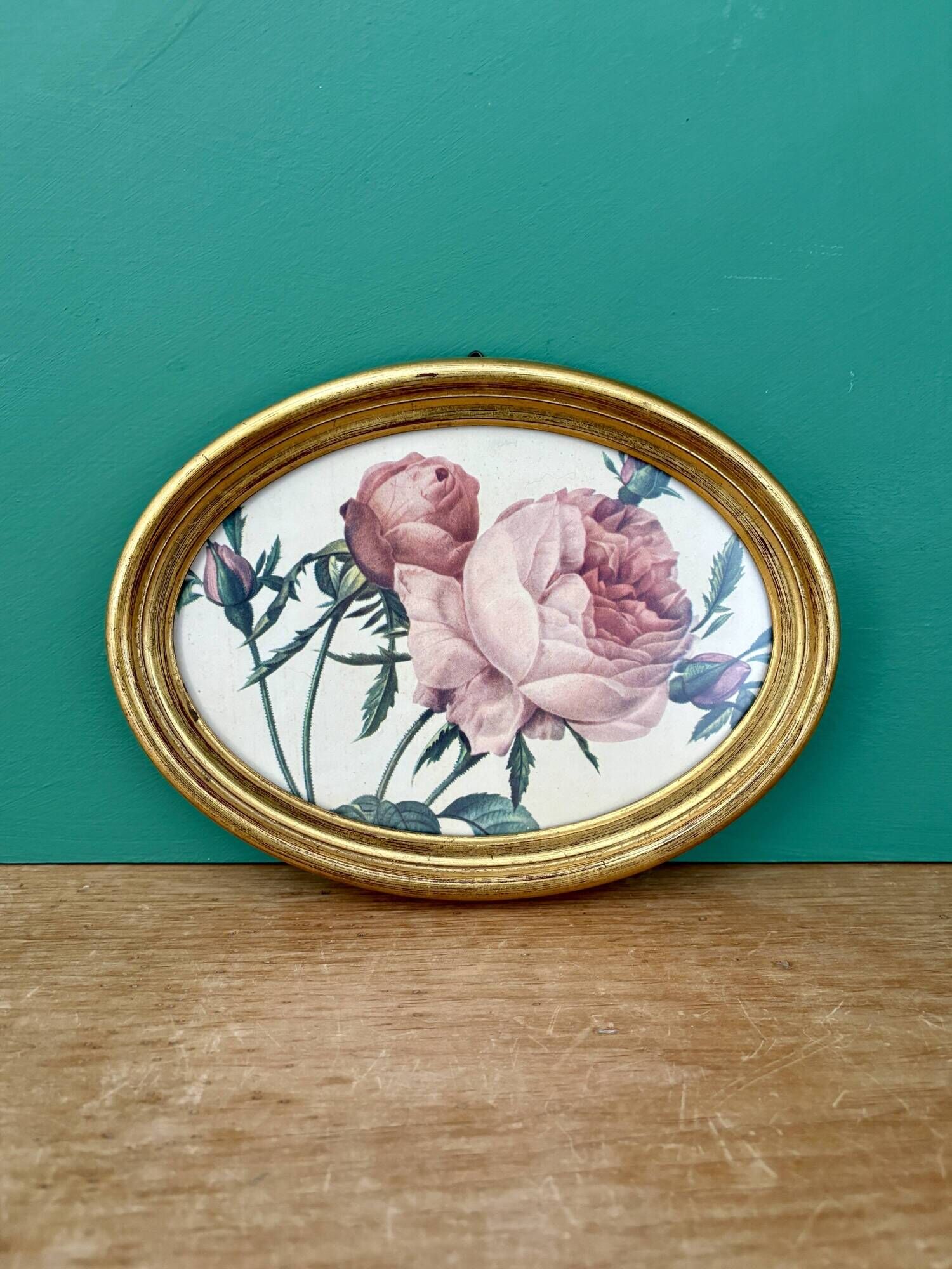Vintage frame and rose by Redouté