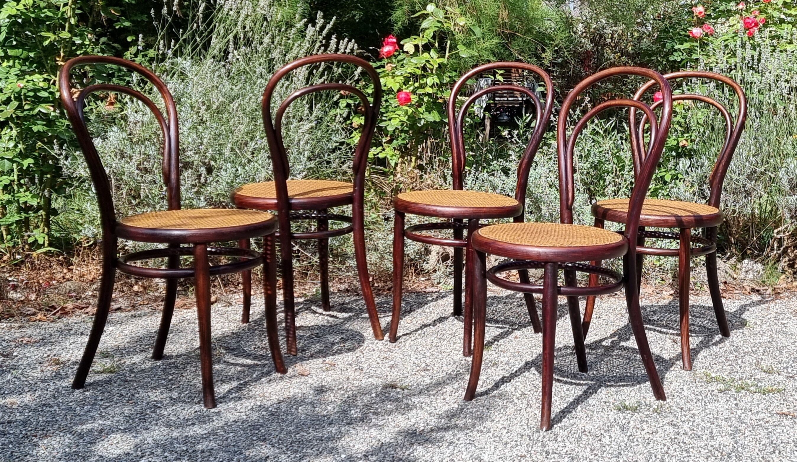 5 chaises Thonet n°14 de 1875