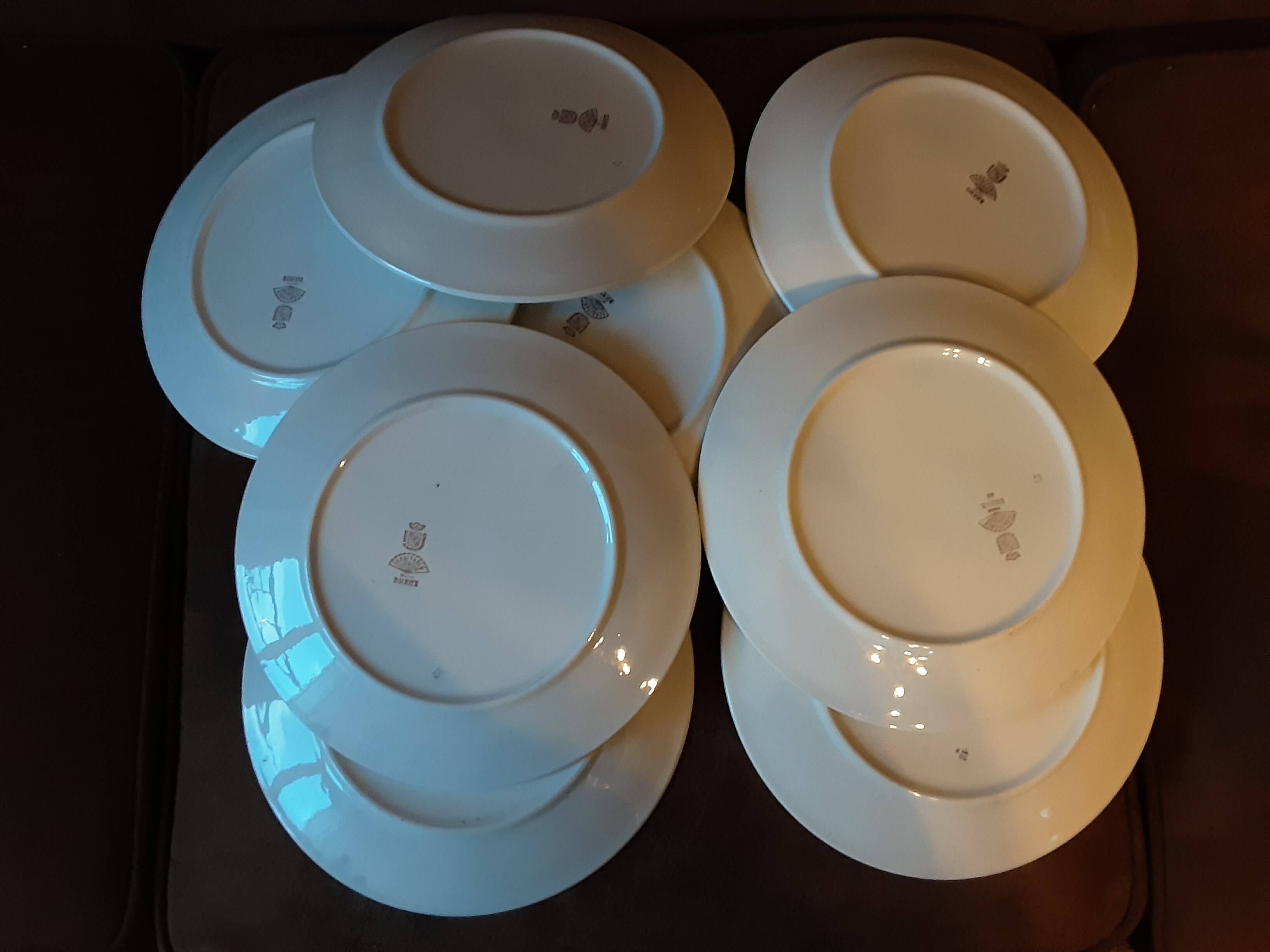 Set of 9 Digoin Sarreguemines dinner plates