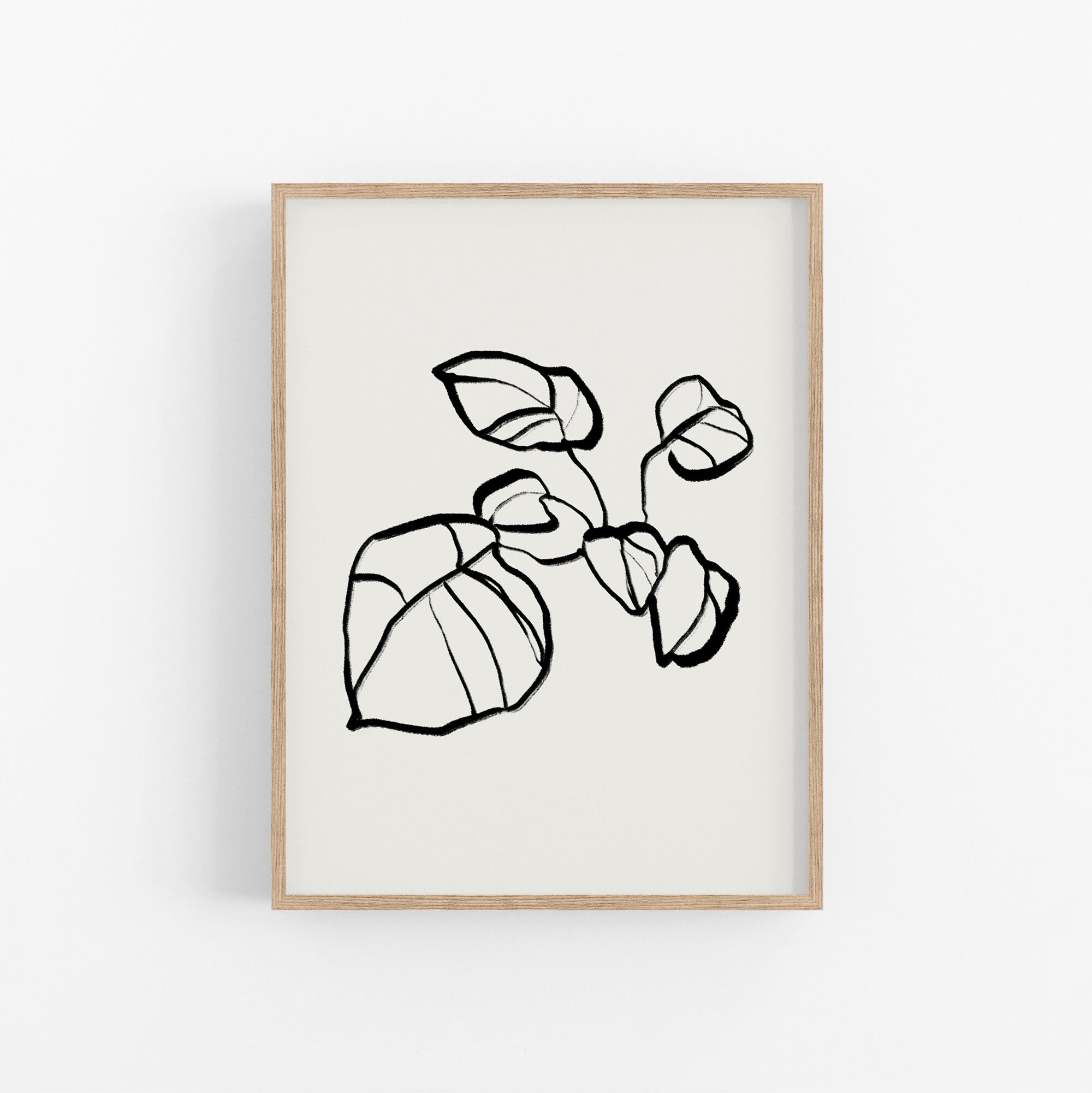 Botanical illustration