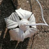Metal flower pendant lamp