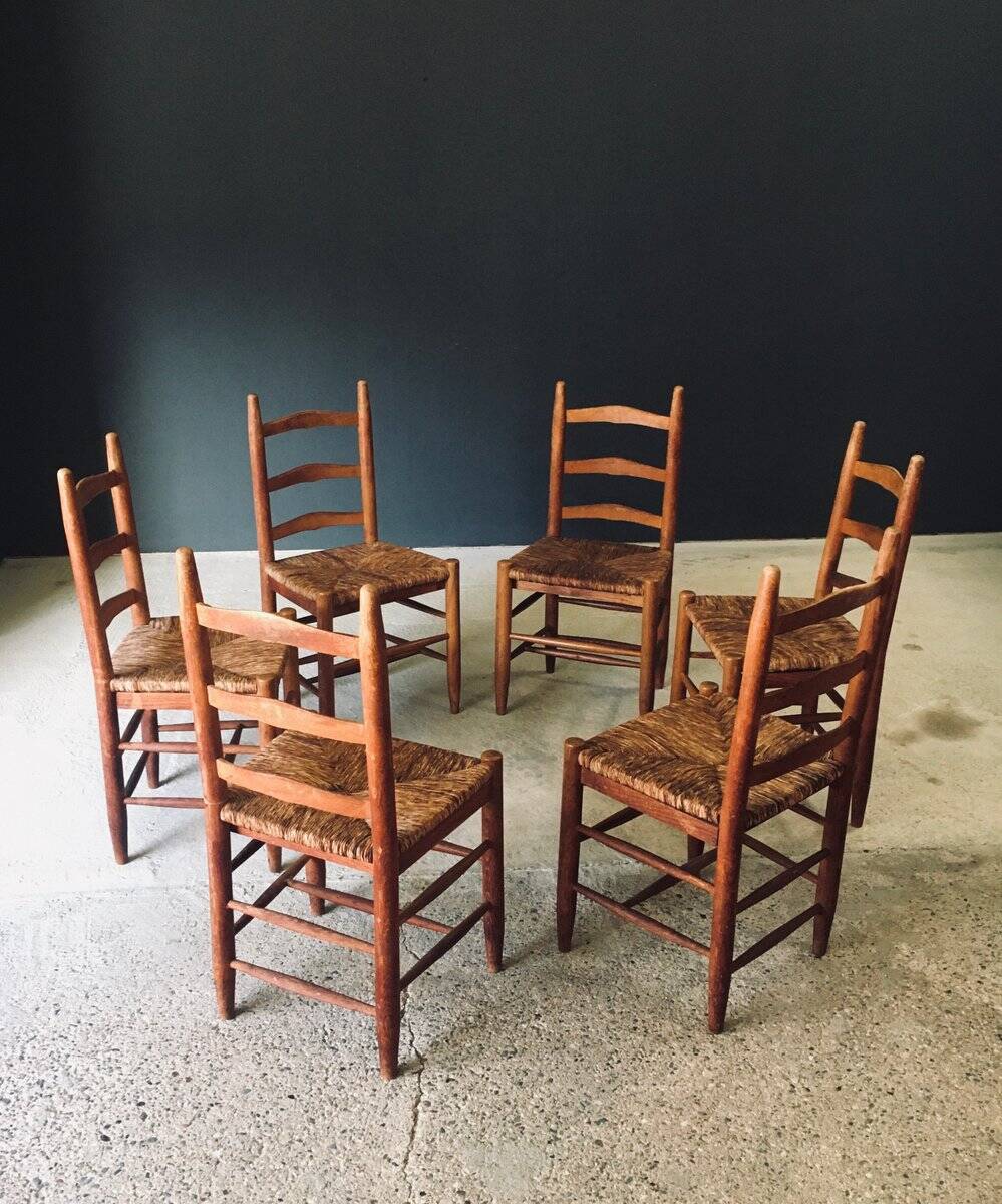 Low rustic ladder back dining chairs in oak and rush, Belgium, 1950s, set of 6.