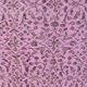 Pink Anatolian Vintage Oushak Rug sku2347