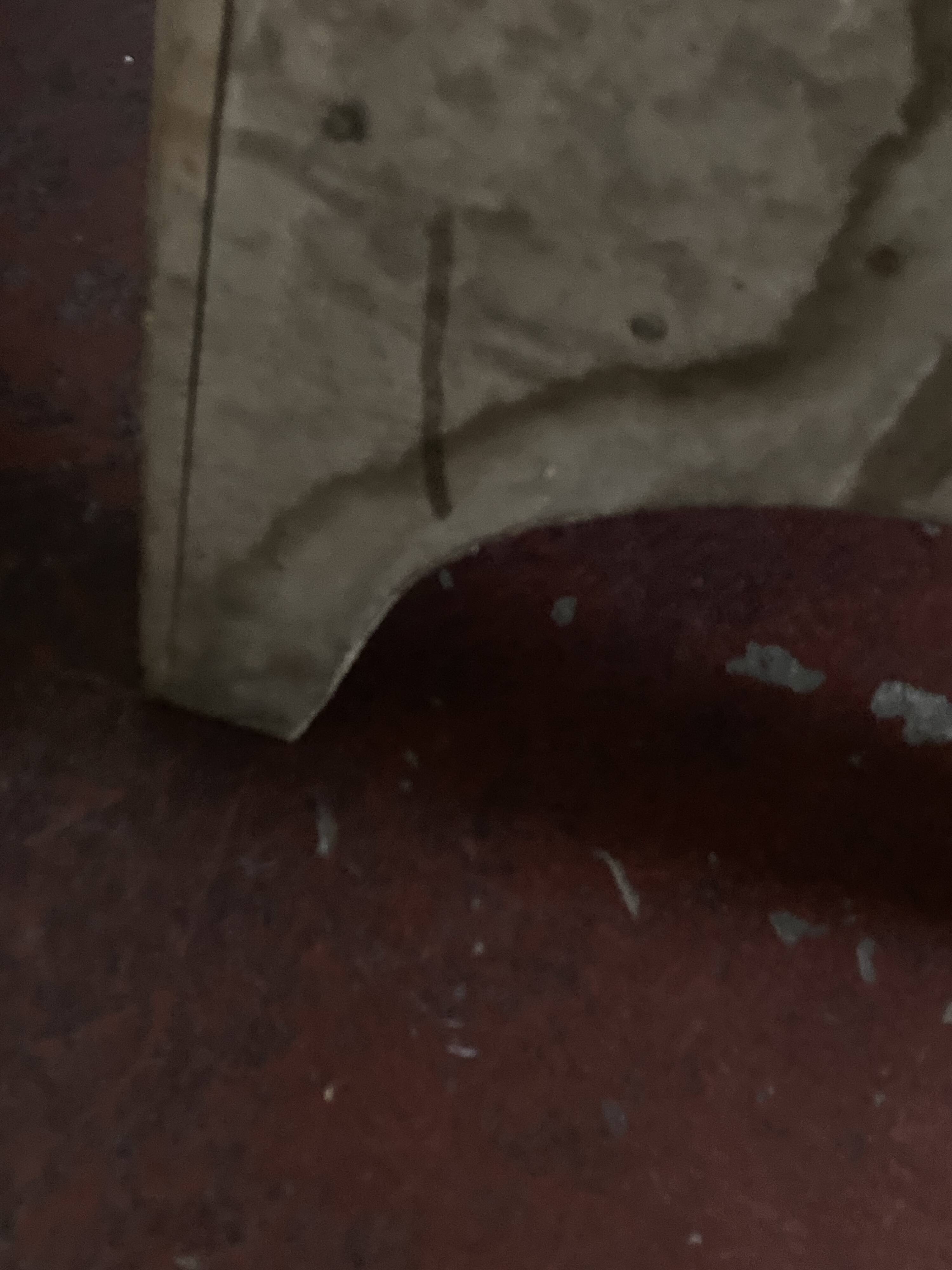 Old neo-classical workshop stool in washed wood h130cm