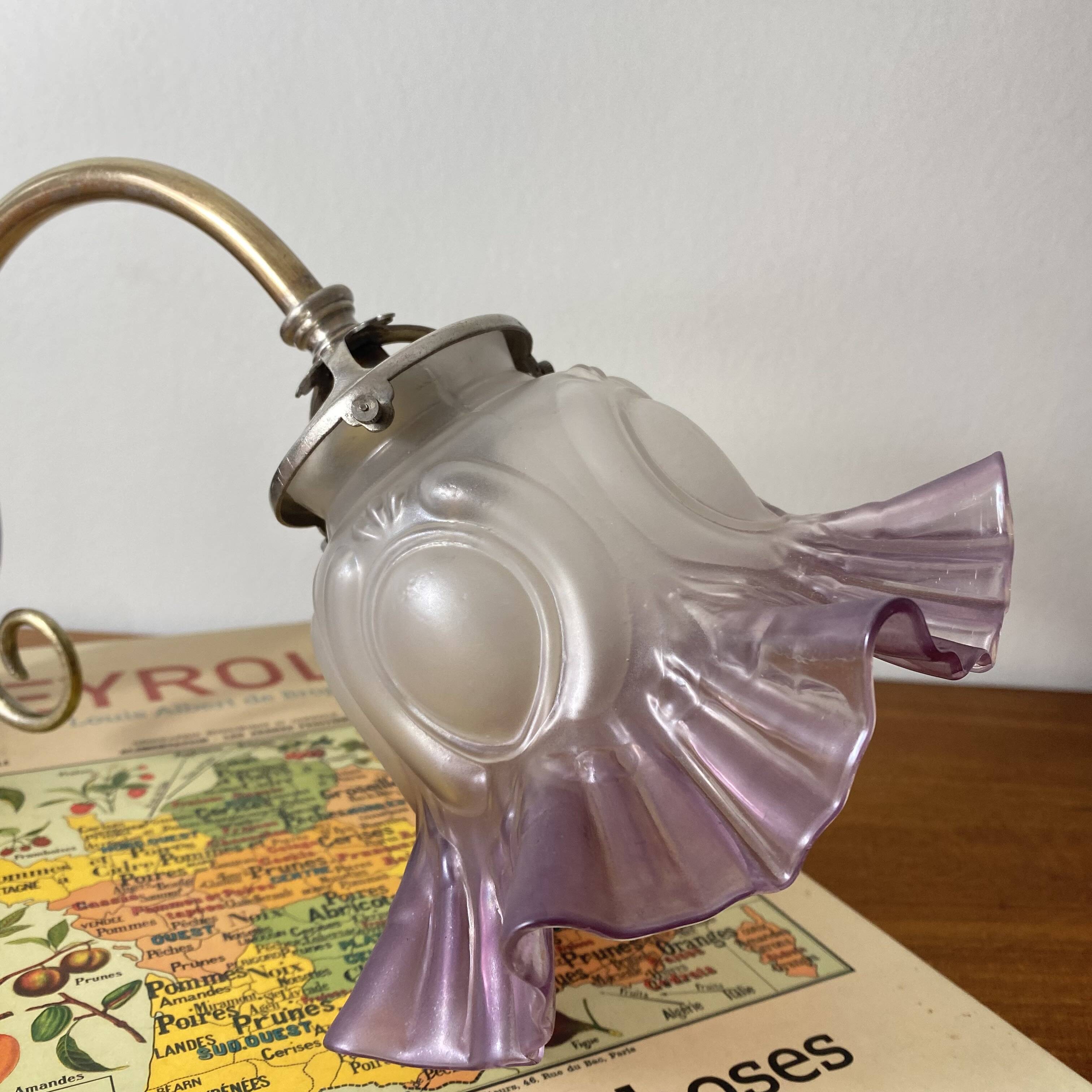Swan neck wall light in brass with glass tulip.