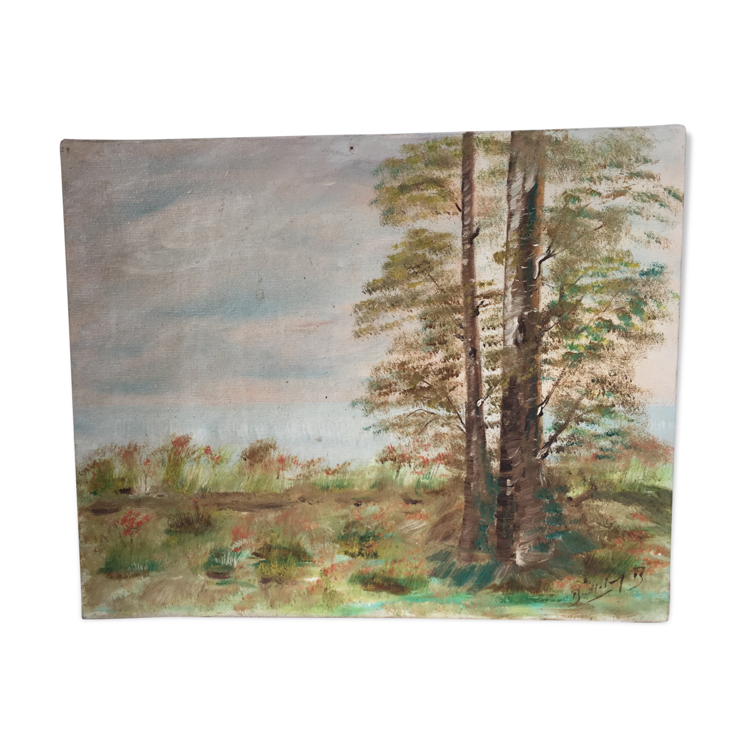 Prairie with 2 trees, oil on canvas