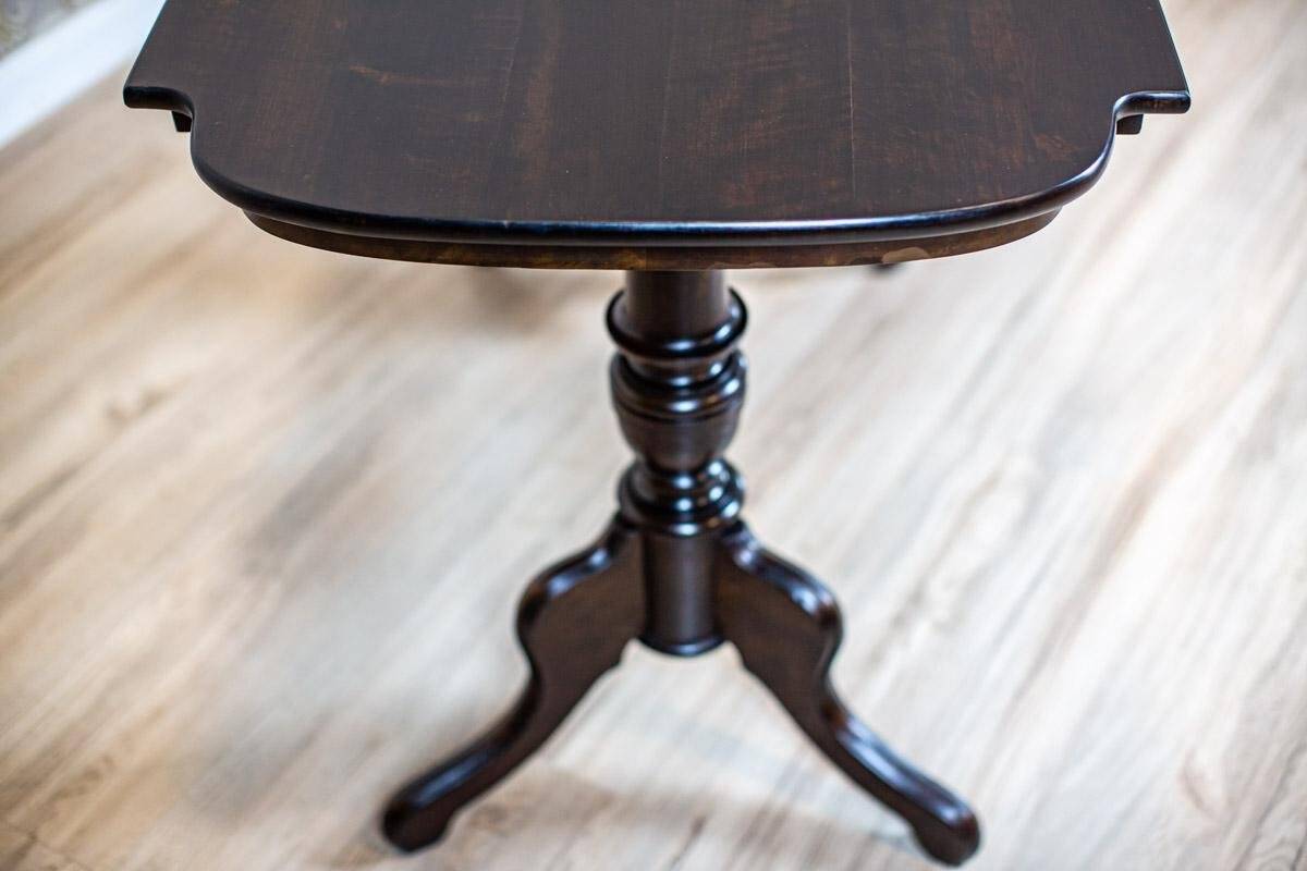 19th Century European Eclectic Walnut Living Room Table in Black, 1890s