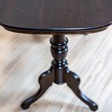 19th Century European Eclectic Walnut Living Room Table in Black, 1890s