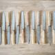 Set de 12 couteaux avec manches effet corne dans leur coffret