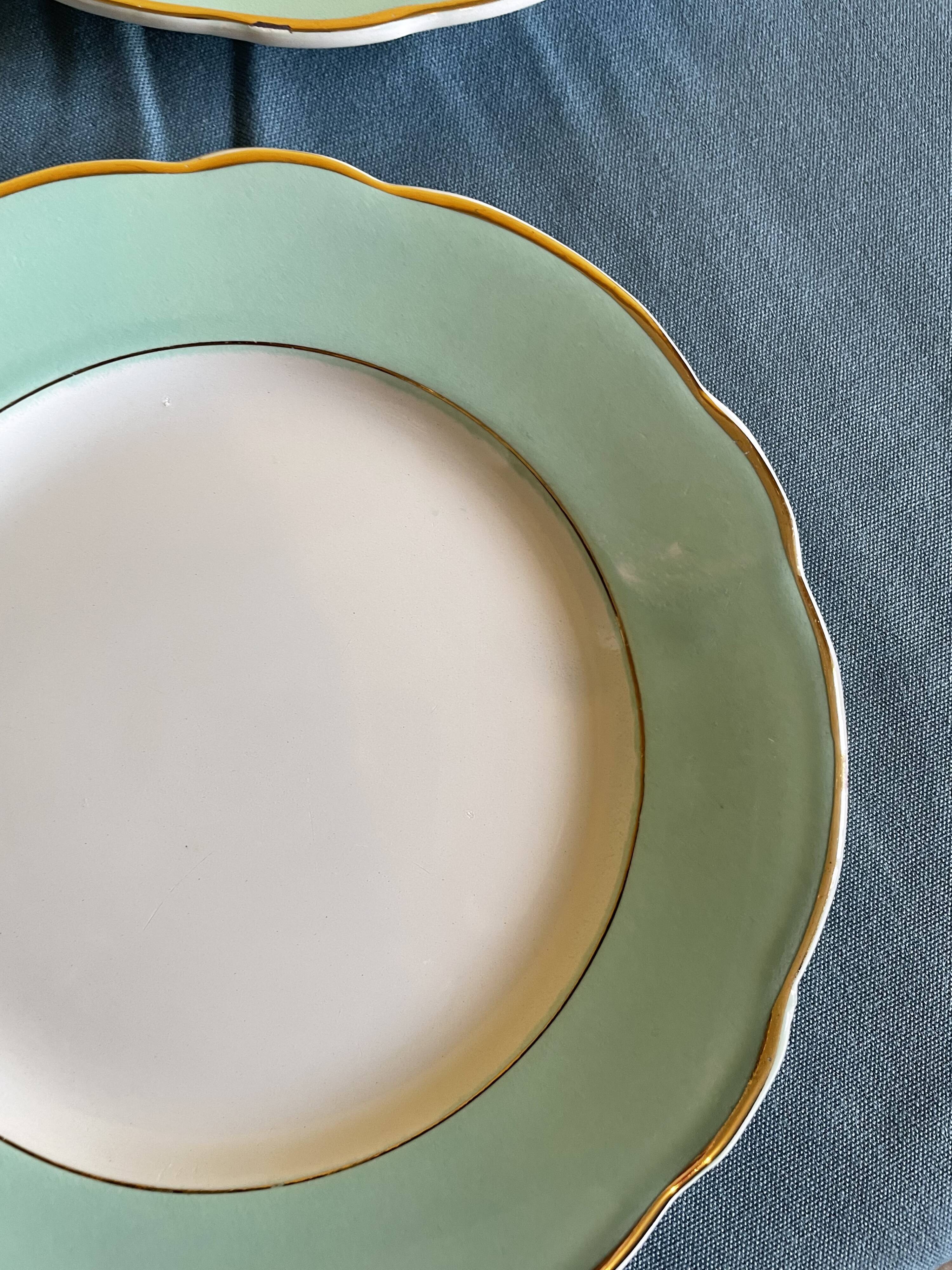 Set of green plates of water