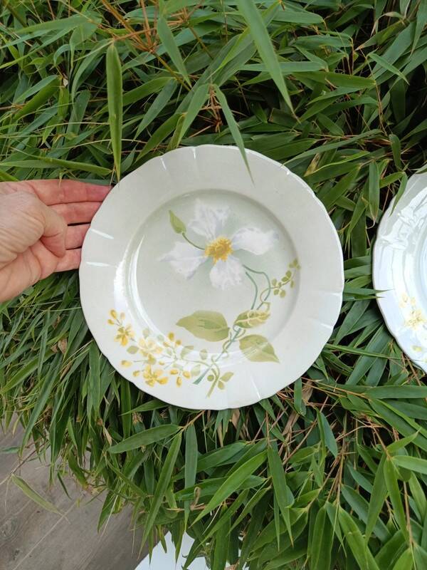 Pair of K&G Lunéville plates, Clématite model