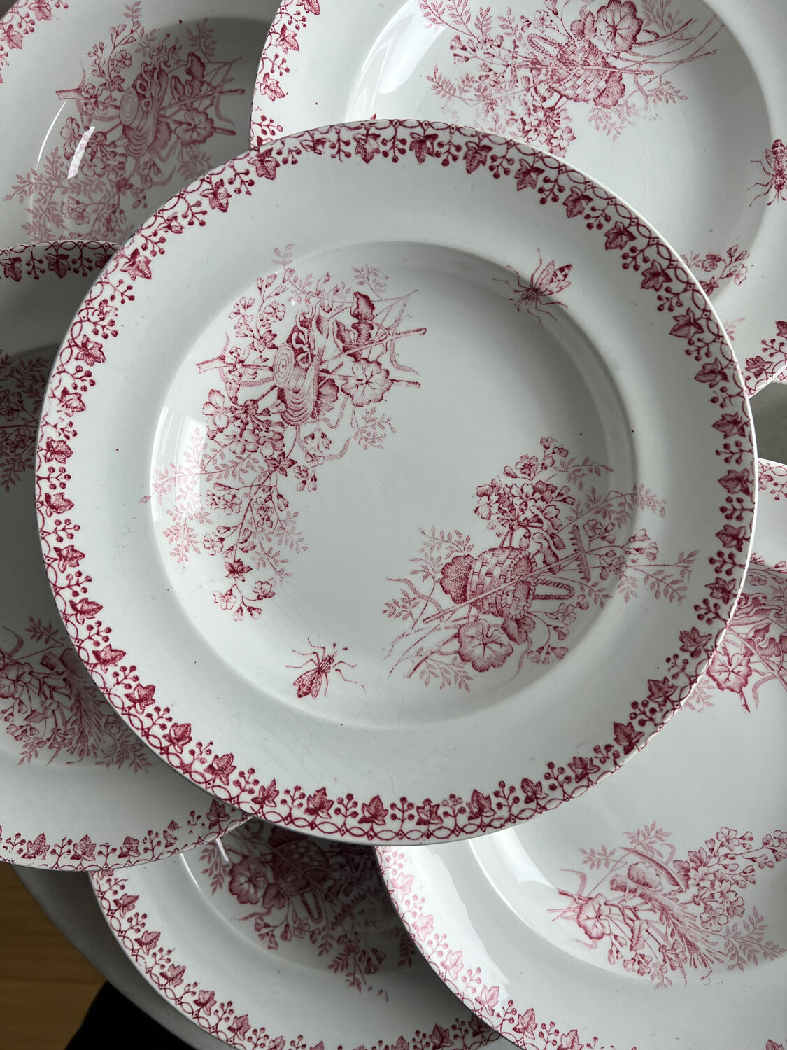 Set of 8 hollow plates - Onnaing Moisson Terre de fer