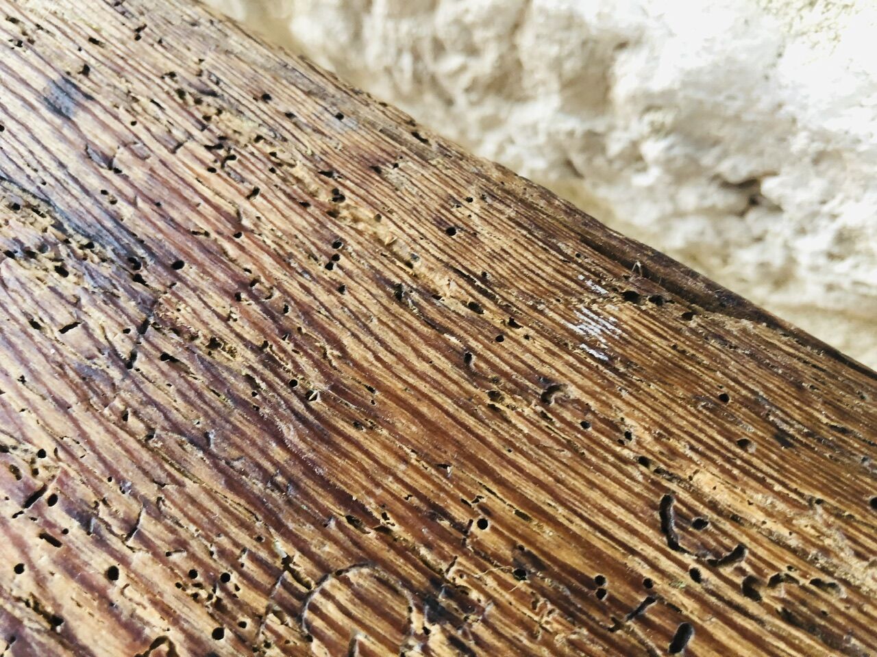 Oak farmhouse bench, circa 40's /50's