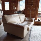 Roche Bobois sofa
