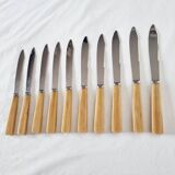 10 table or lunch knives in stainless steel and Messina from the 70s New