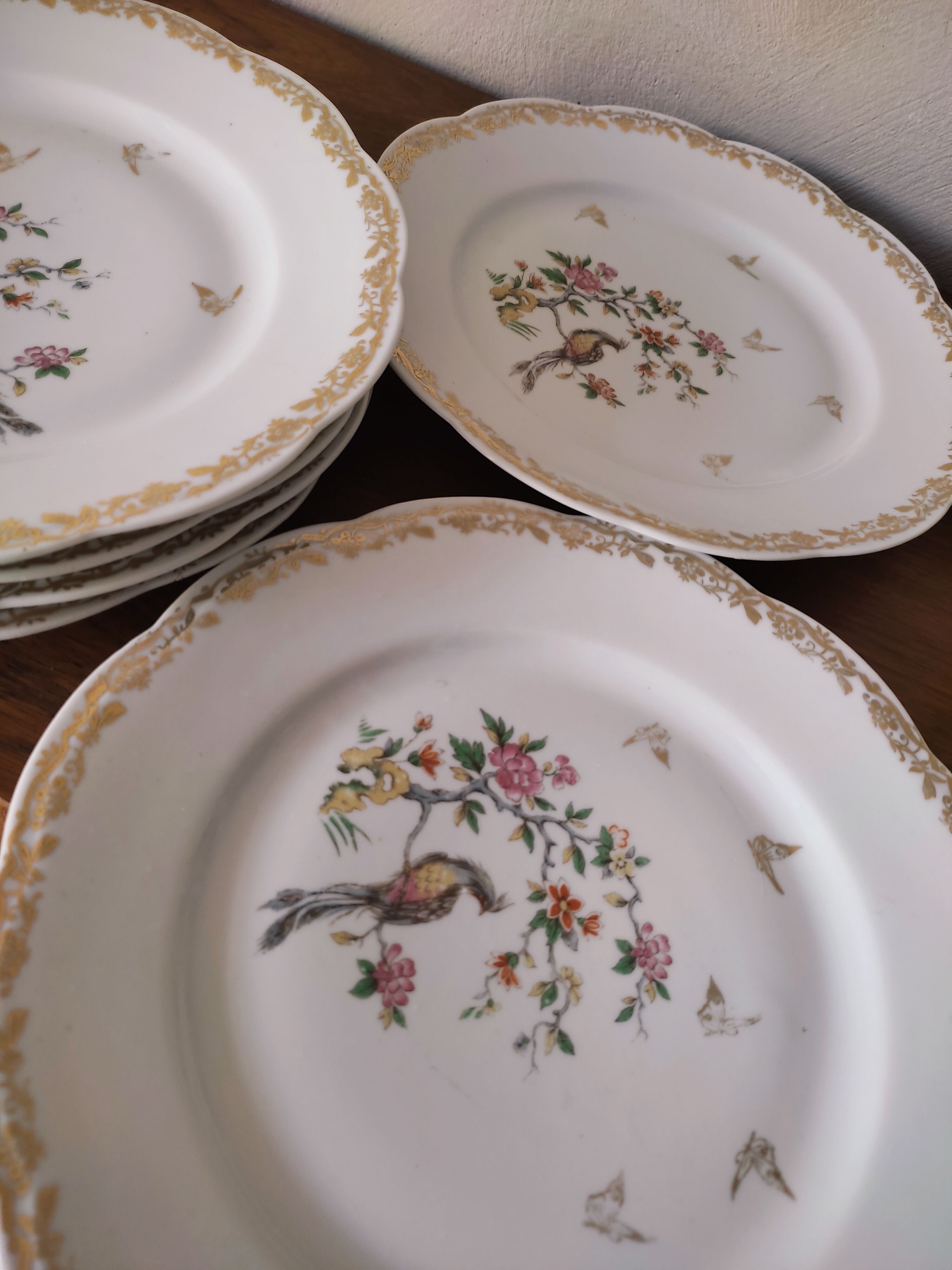 6 flat plates model bird of paradise