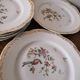 6 flat plates model bird of paradise