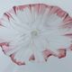 Mikasa frosty crystal standing dessert dish