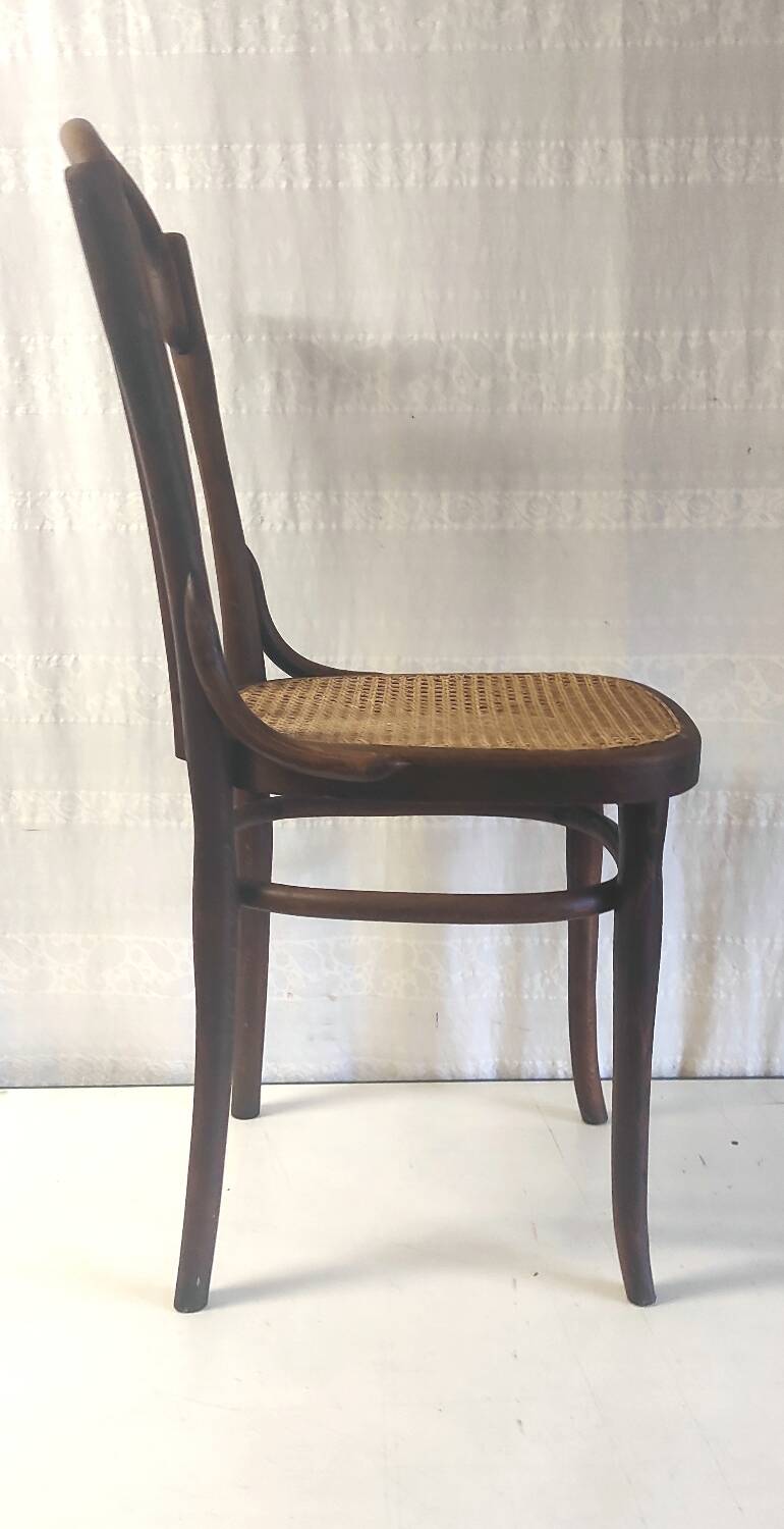 Bistro chair in curved wood and canework - early 20th century