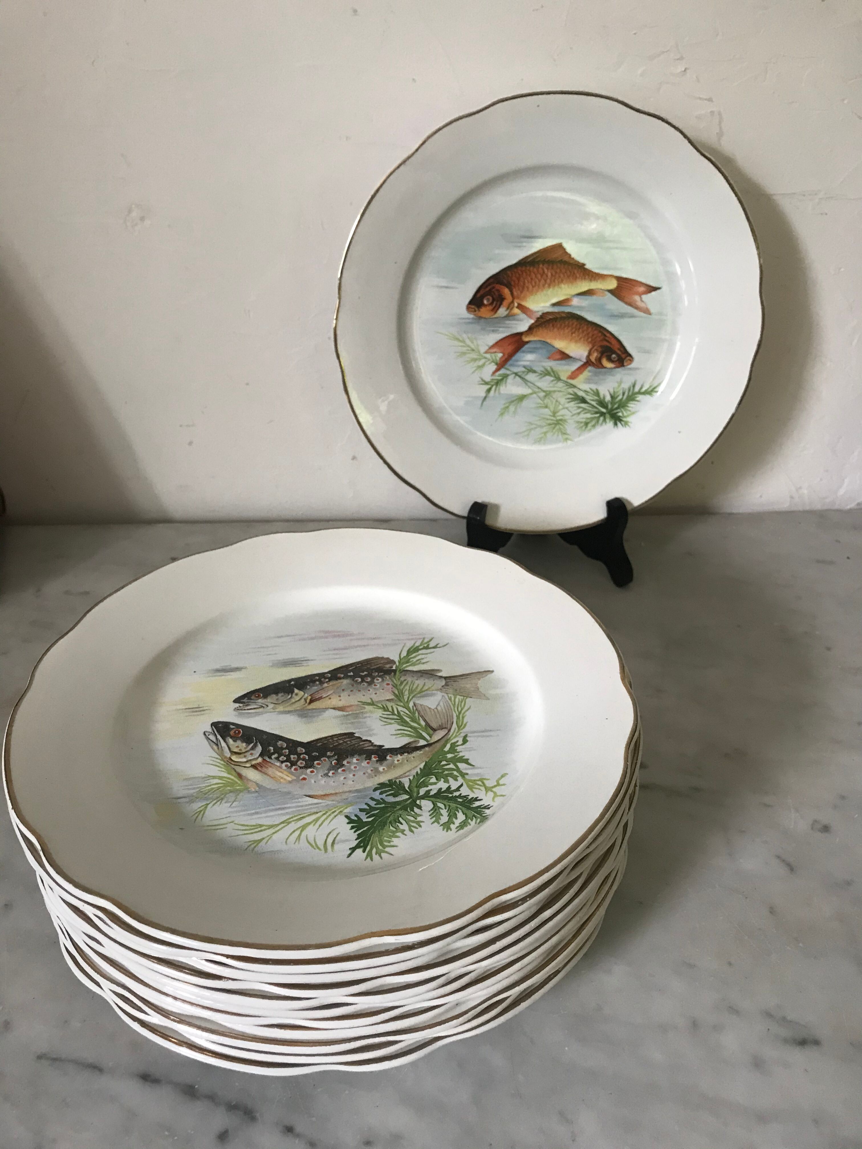 12 Digoin plates - Sarreguemines