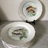 12 Digoin plates - Sarreguemines