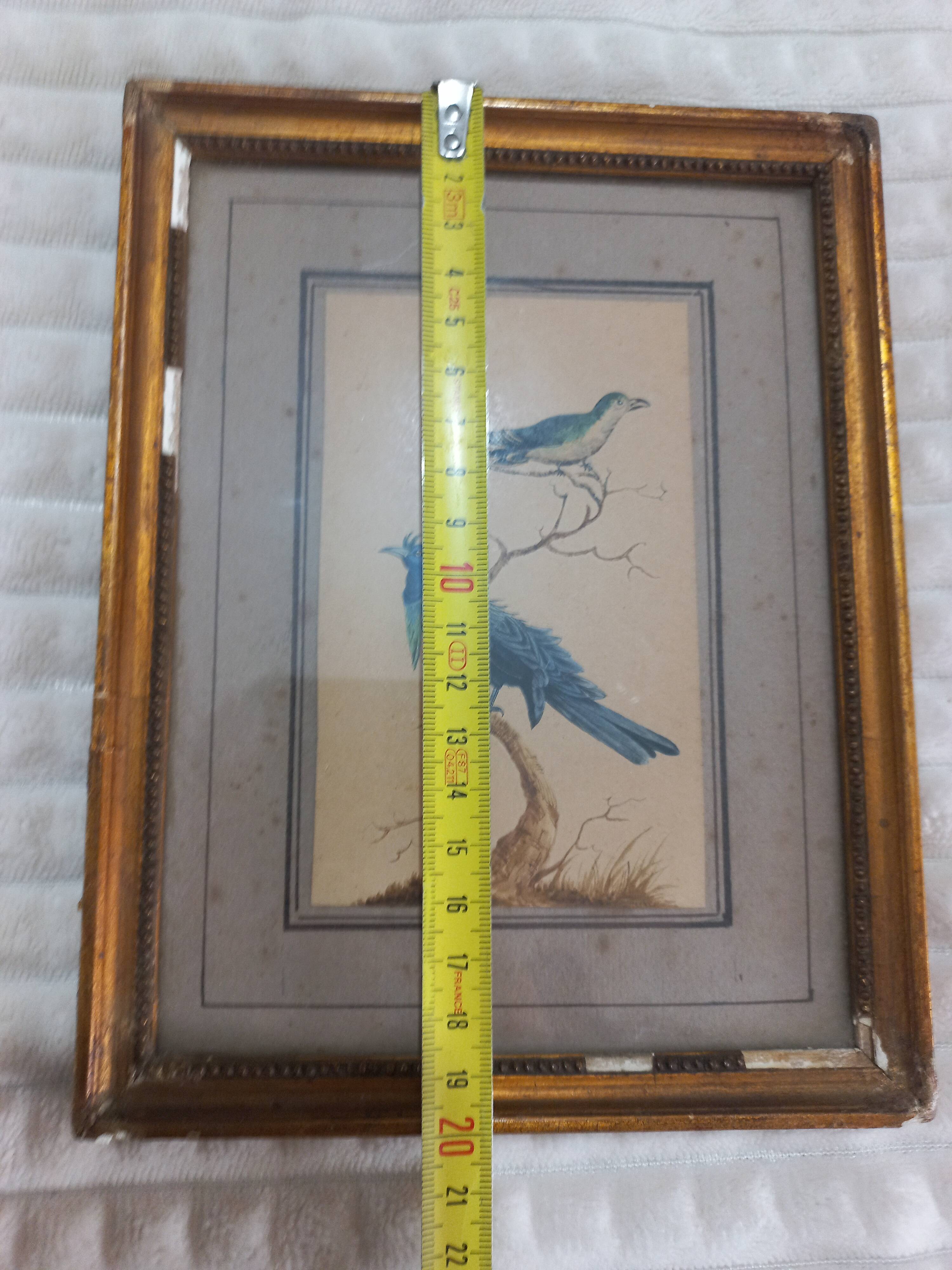 Golden table Blue birds Antique framed, Paris Gallery