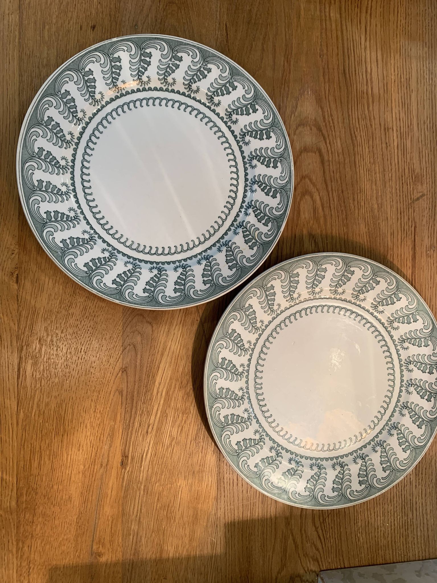 Paire d'assiettes terre de fer