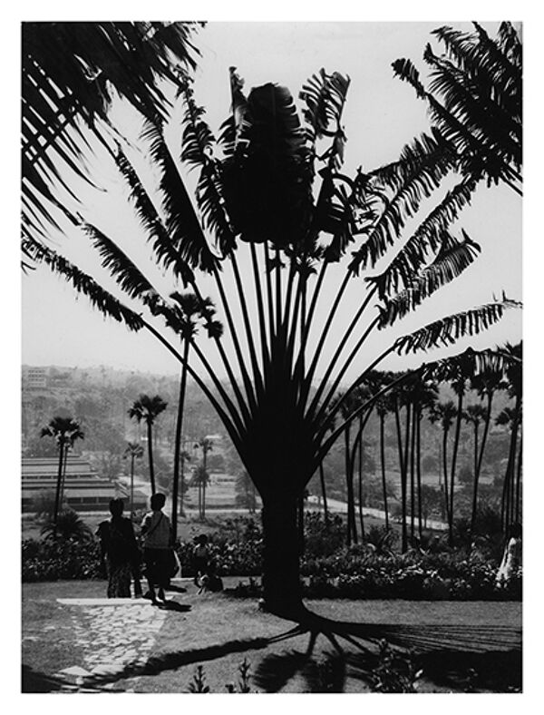 Jardin botanique de Bombay, vers 1970