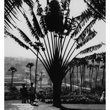 Bombay Botanical Garden, circa 1970