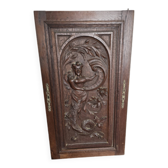 Old carved oak wooden door