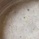 Vintage: Large oval clay gratin dish