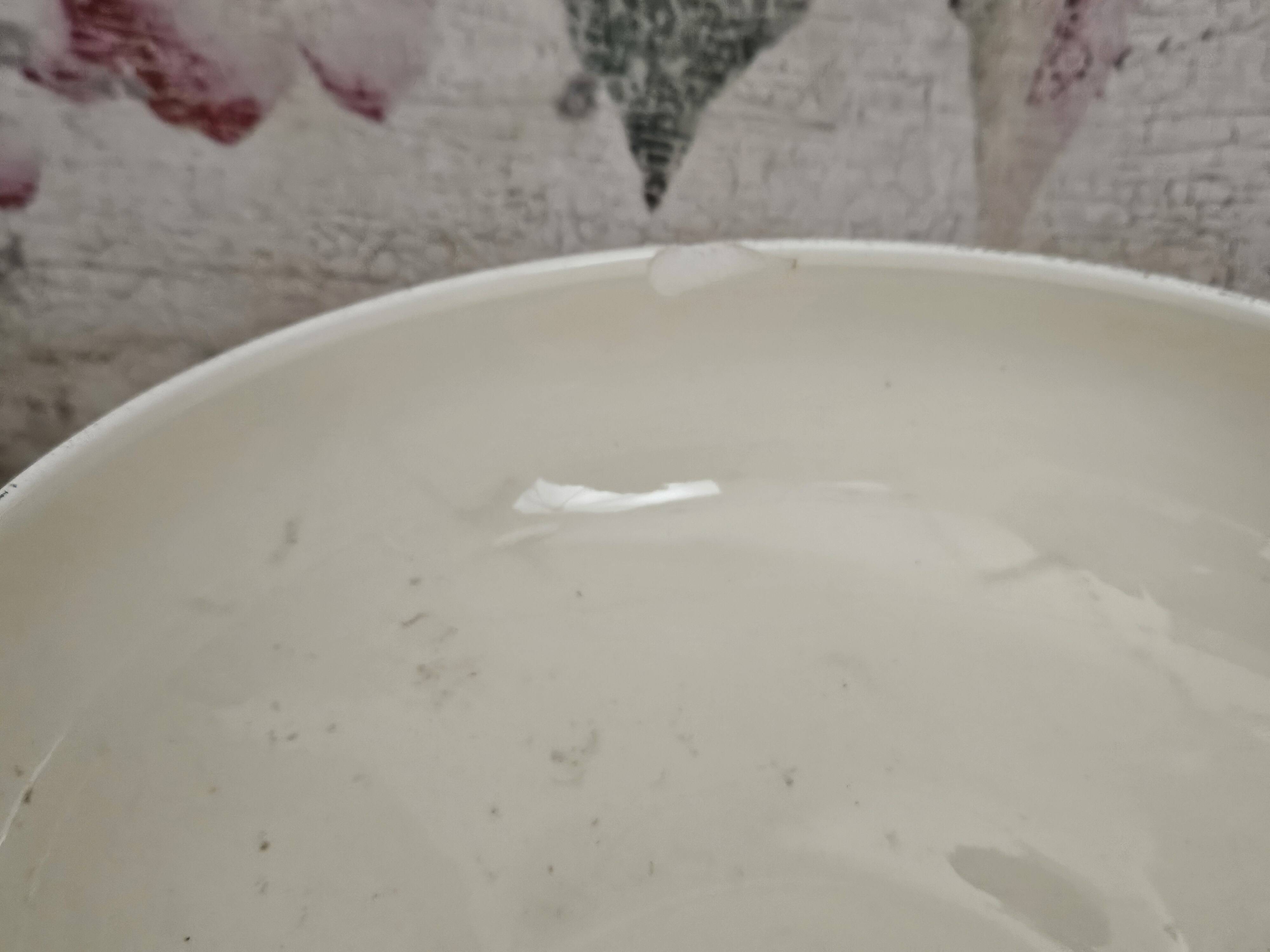 Soupière en faïence de Longchamp